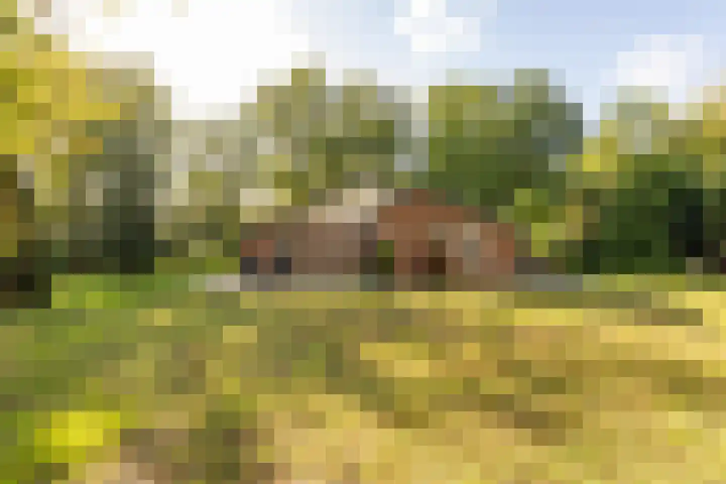 Oshaarseweg 24 99 Echten thumbnail 40