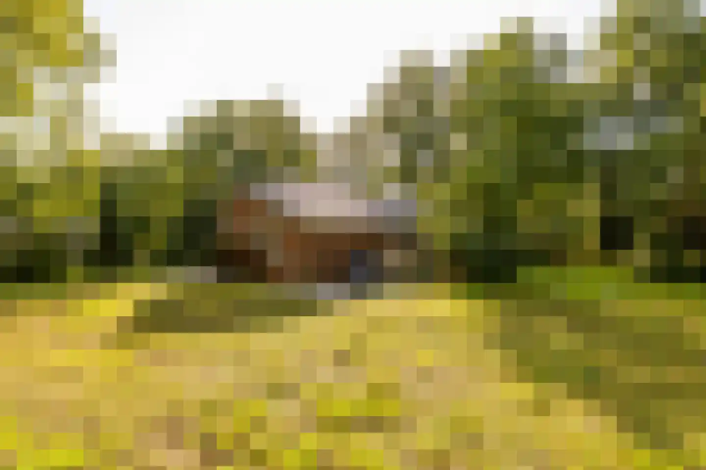 Oshaarseweg 24 99 Echten thumbnail 41