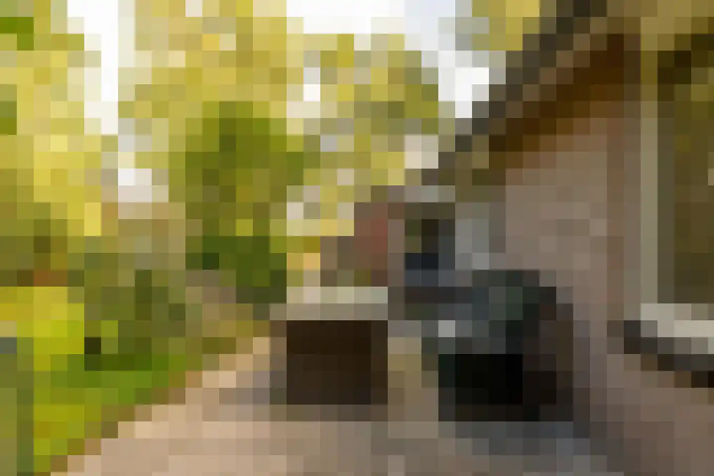 Oshaarseweg 24 99 Echten thumbnail 42