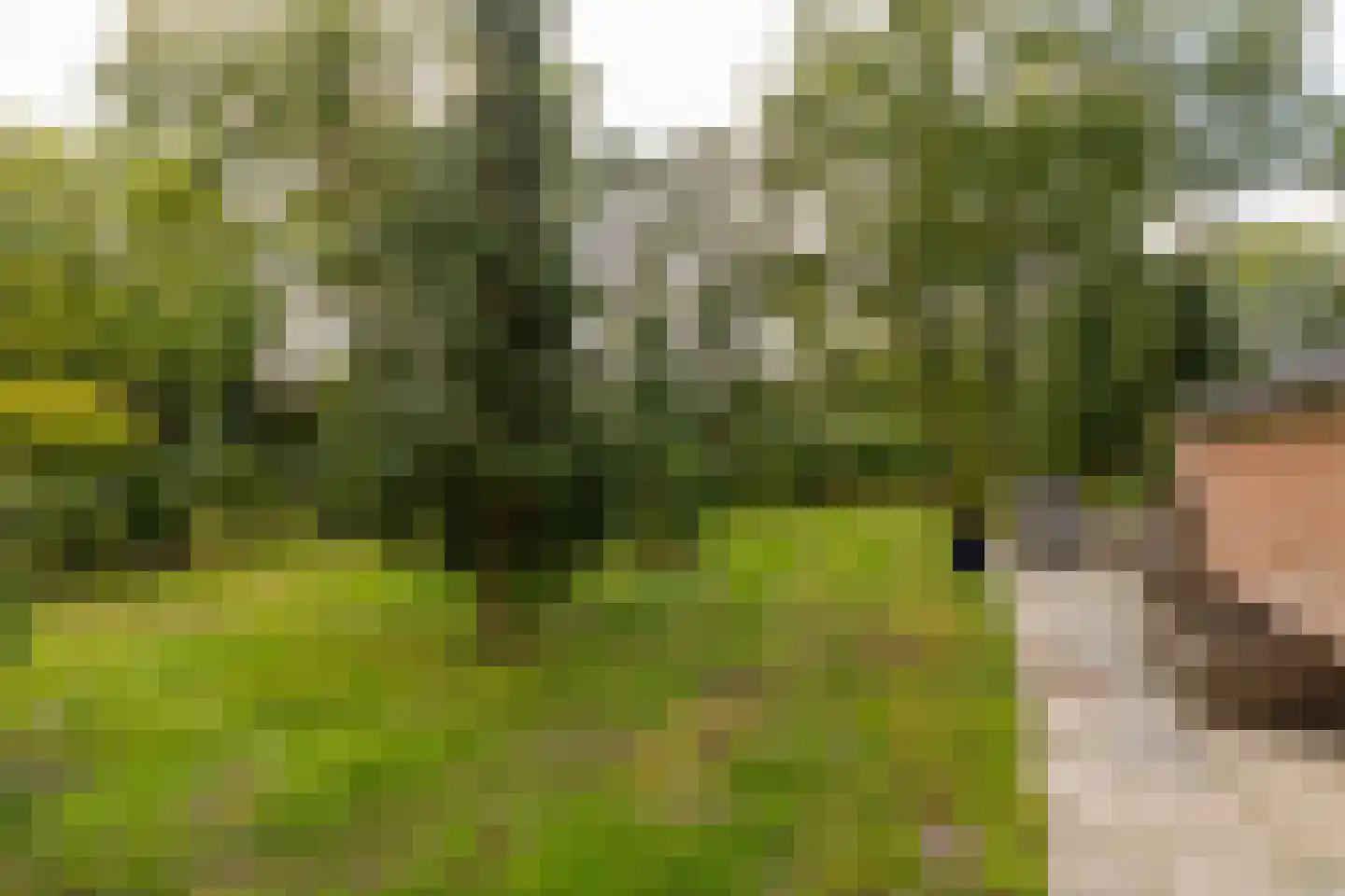 Oshaarseweg 24 99 Echten thumbnail 43