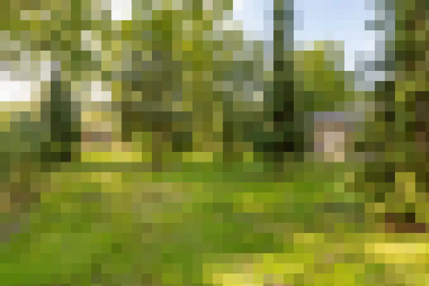 Oshaarseweg 24 99 Echten thumbnail 44
