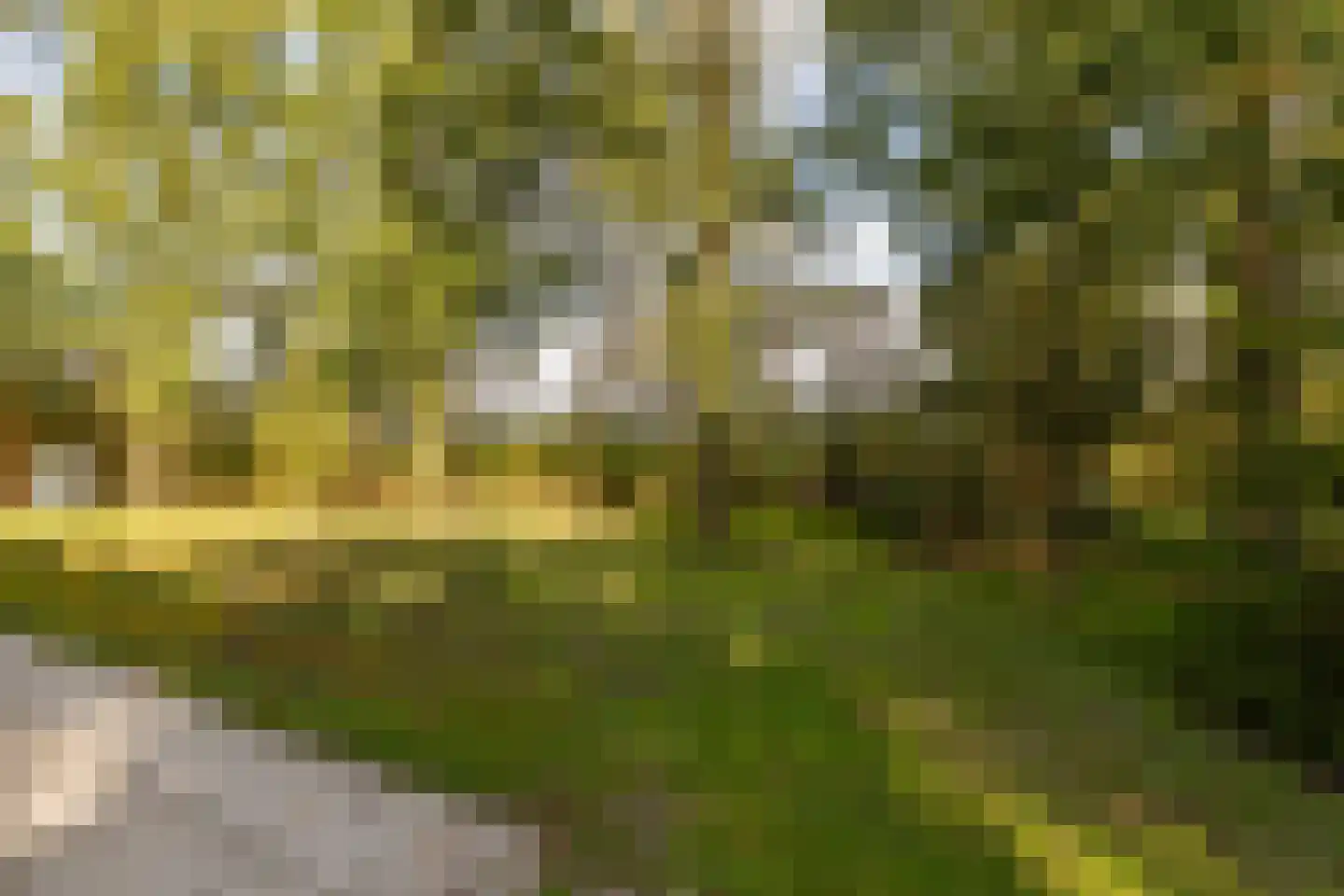 Oshaarseweg 24 99 Echten thumbnail 45