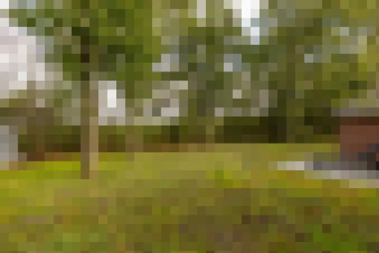 Oshaarseweg 24 99 Echten thumbnail 46