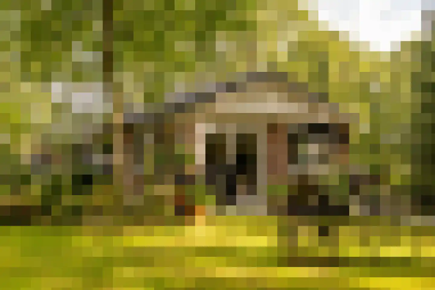 Oshaarseweg 24 99 Echten thumbnail 48