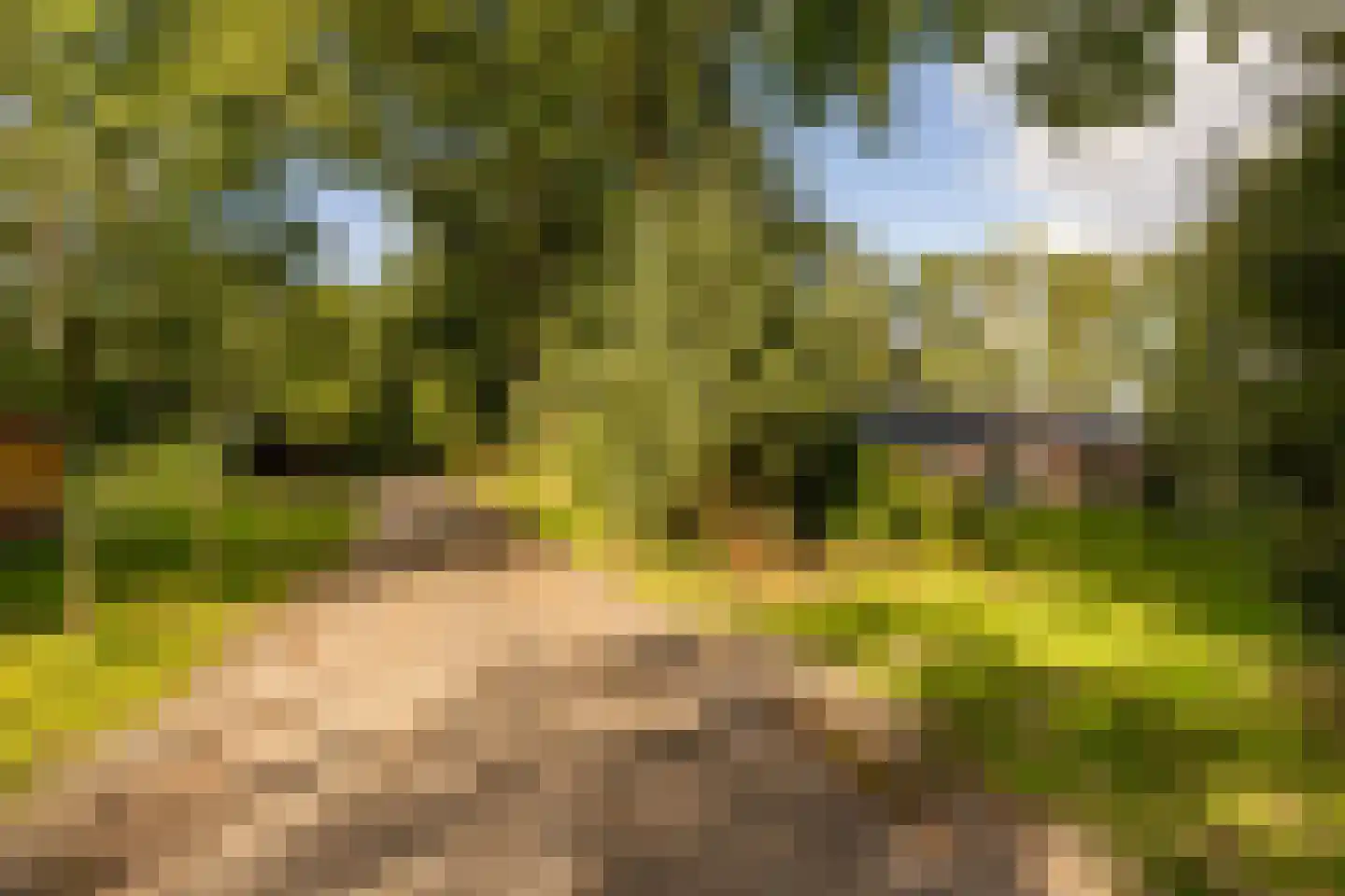 Oshaarseweg 24 99 Echten thumbnail 55