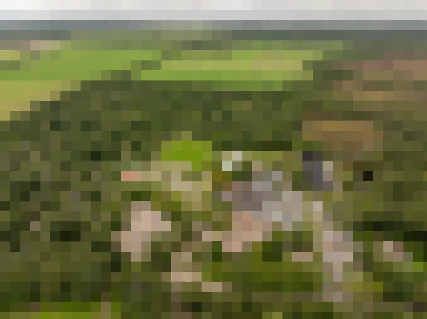 Oshaarseweg 24 99 Echten thumbnail 56