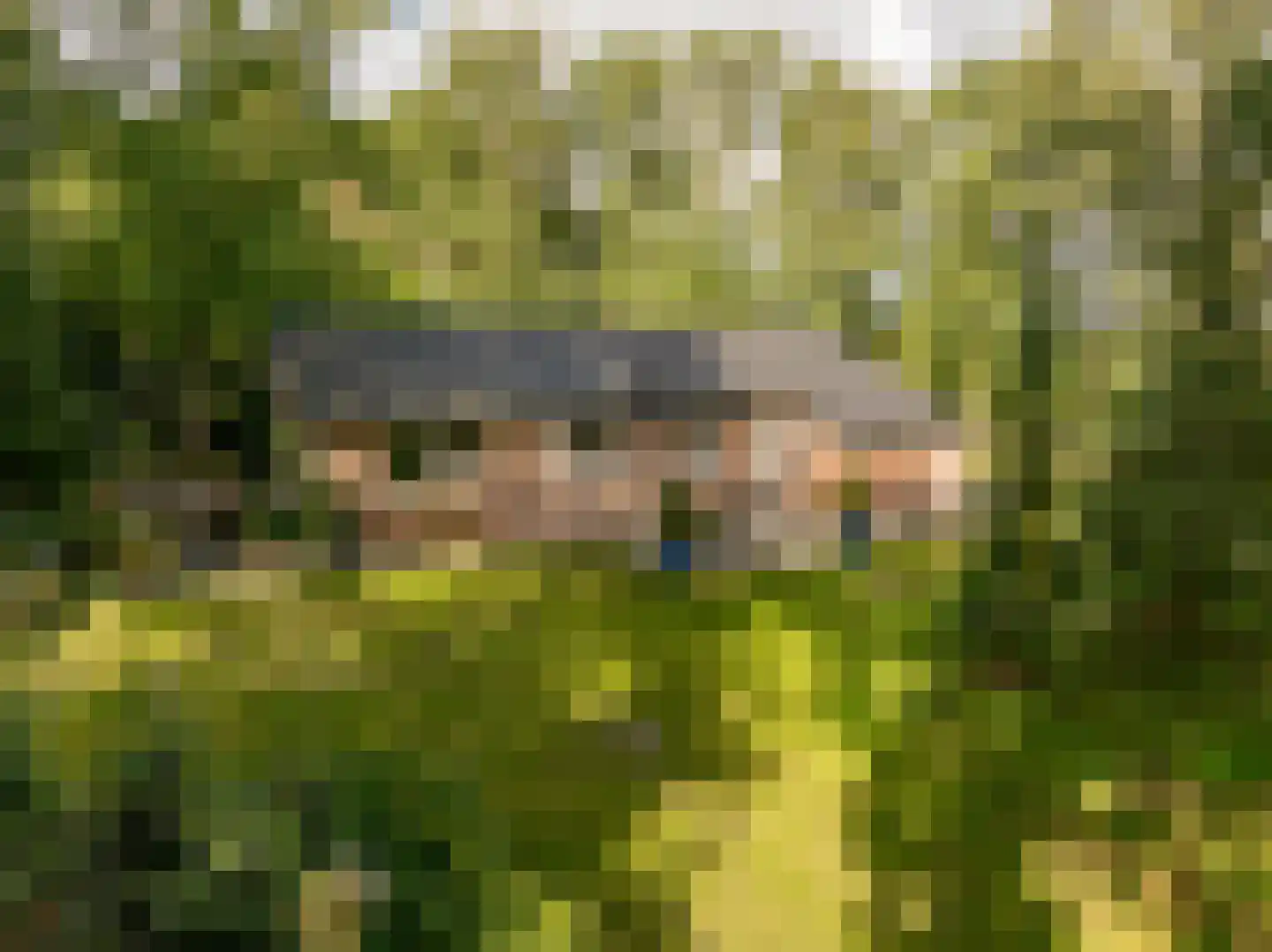 Oshaarseweg 24 99 Echten thumbnail 6