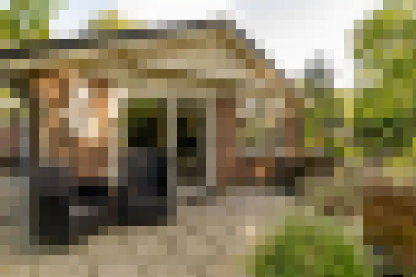 Oshaarseweg 24 99 Echten thumbnail 7