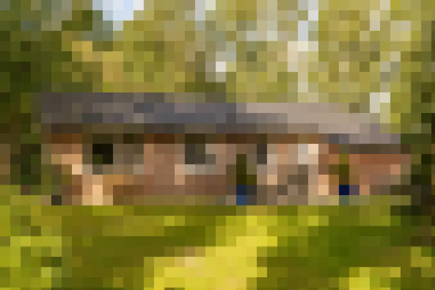 Oshaarseweg 24 99 Echten thumbnail 8