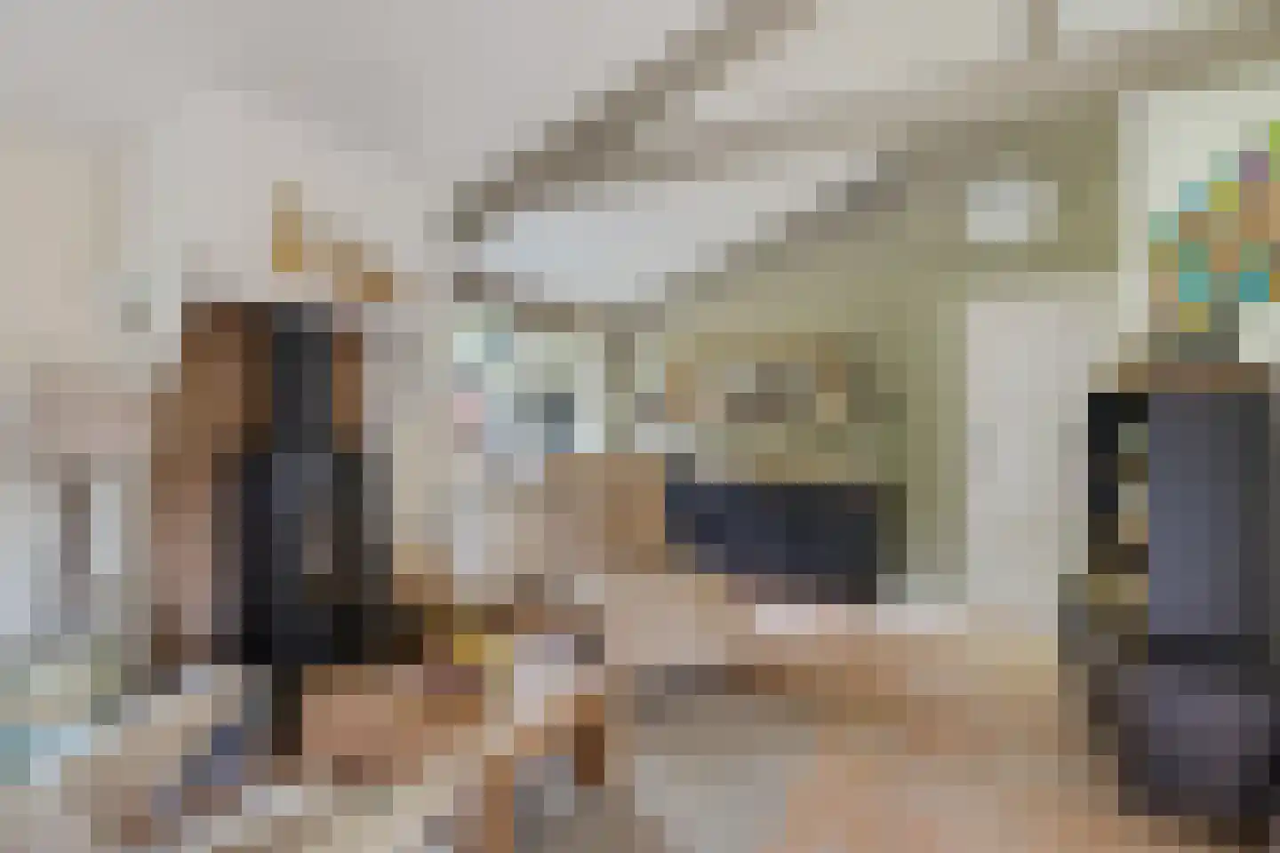 Oshaarseweg 24 99 Echten thumbnail 8