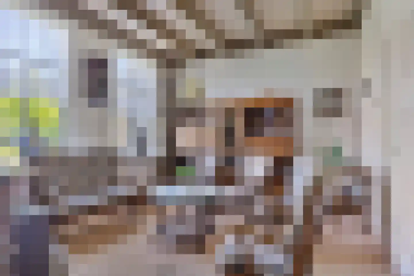 Oshaarseweg 71 Koekange thumbnail 16