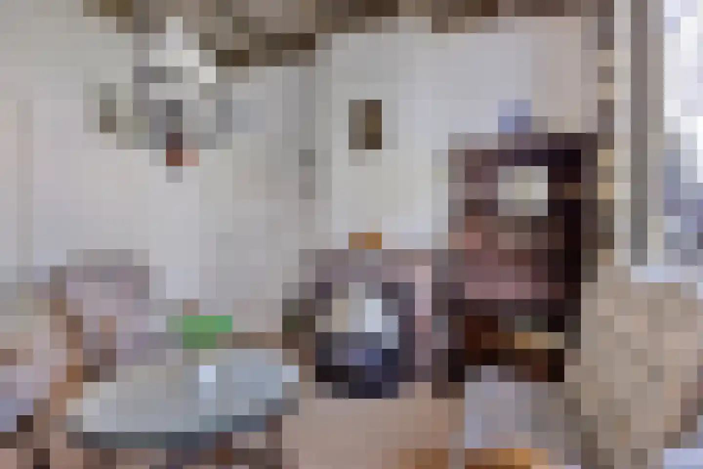 Oshaarseweg 71 Koekange thumbnail 17
