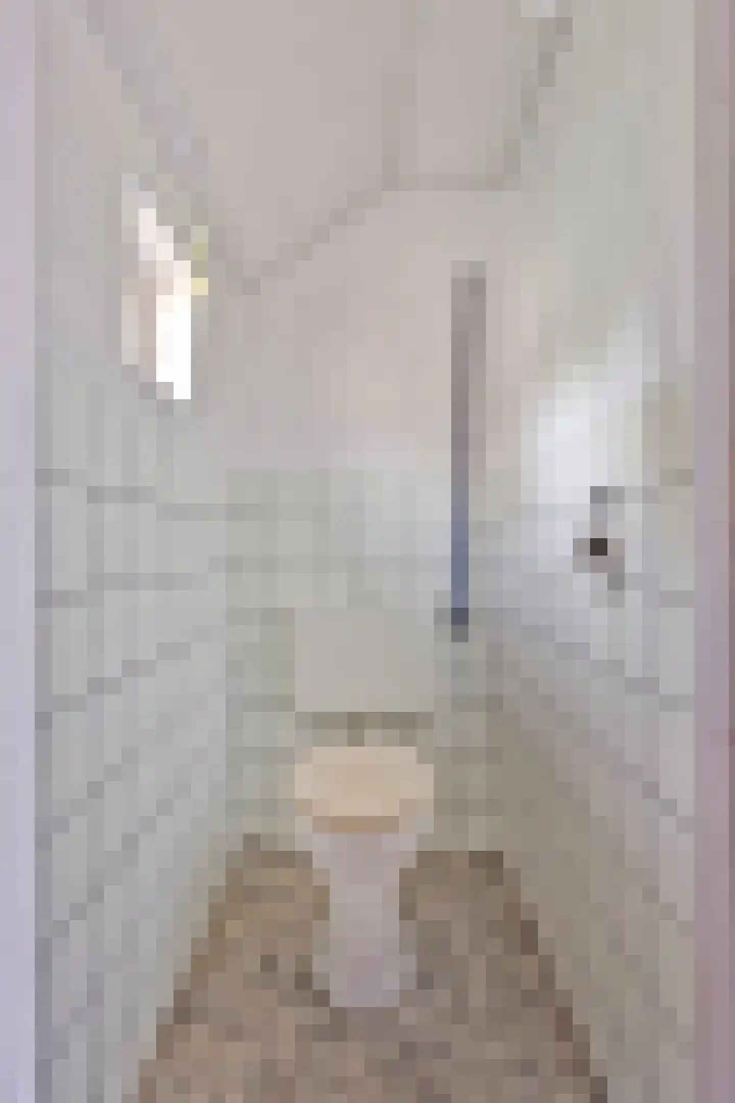 Oshaarseweg 71 Koekange thumbnail 31