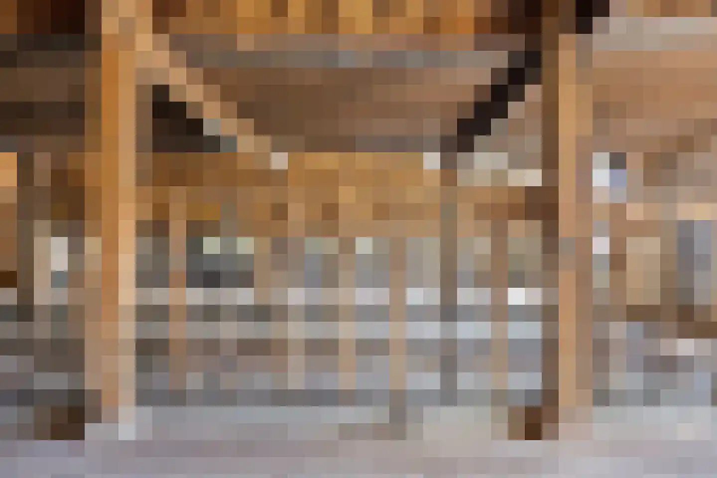 Oshaarseweg 71 Koekange thumbnail 44
