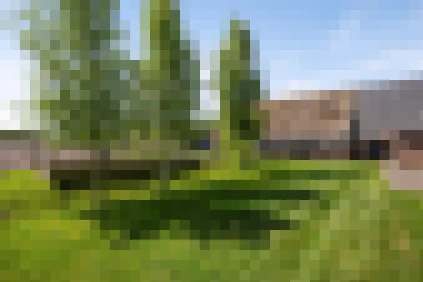 Oshaarseweg 71 Koekange thumbnail 54