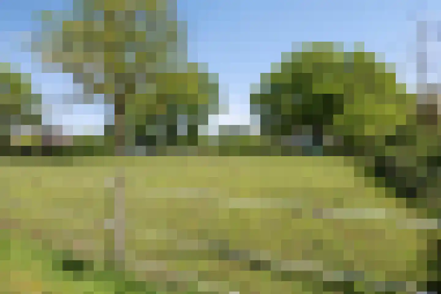 Oshaarseweg 71 Koekange thumbnail 57