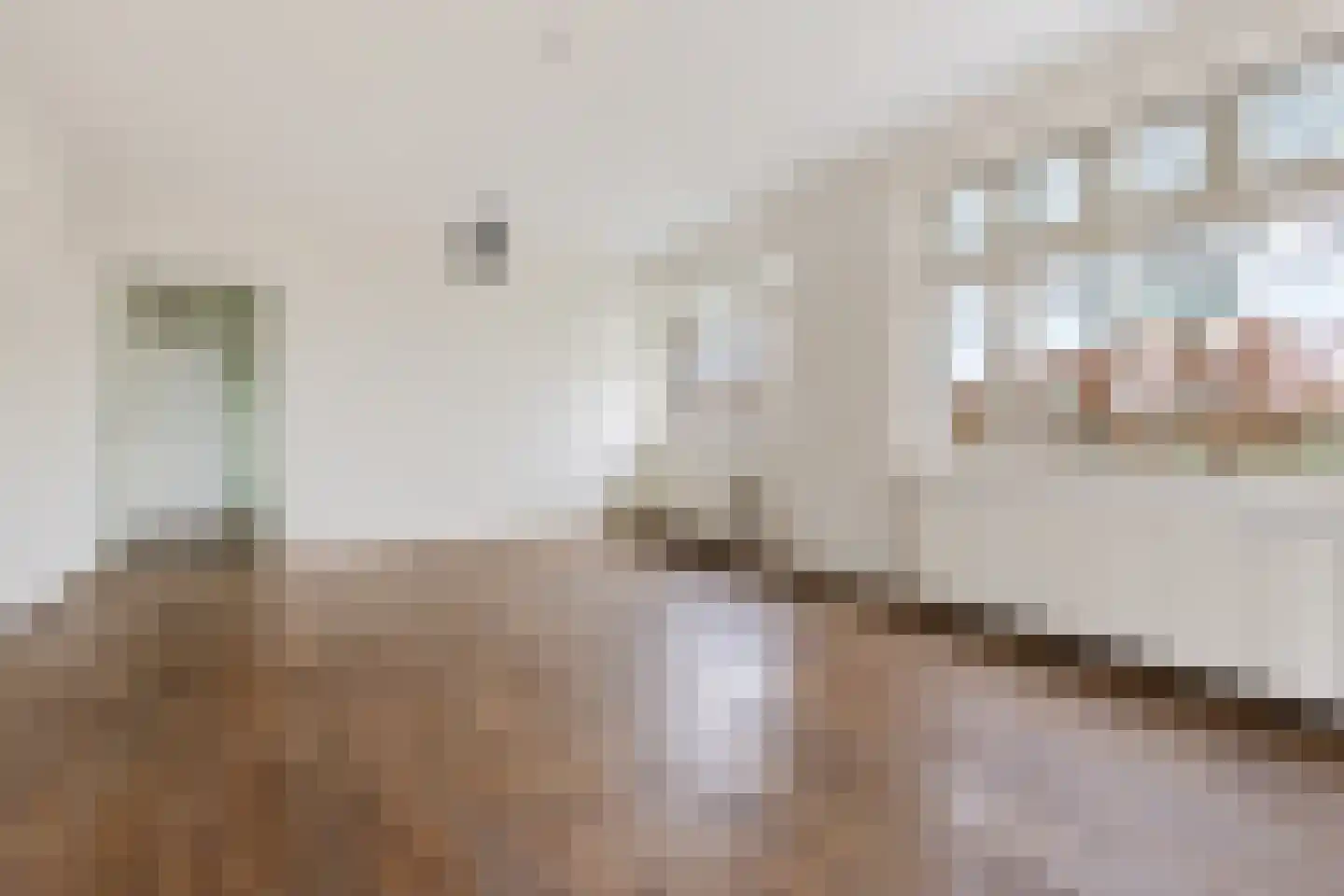 Osingahuzen 22 Heeg thumbnail 15