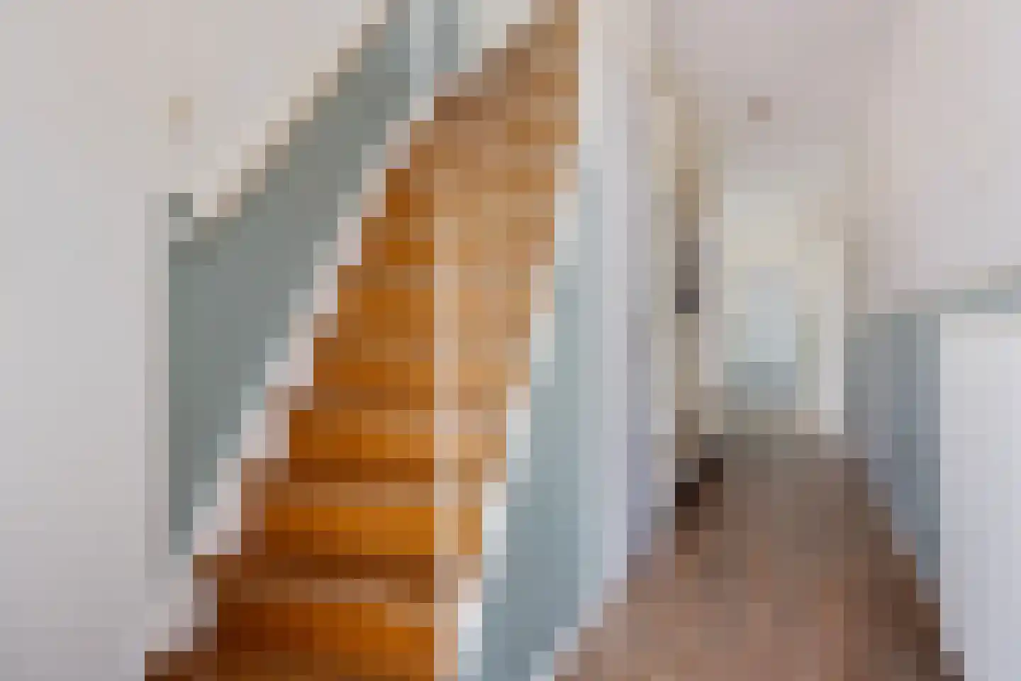 Osingahuzen 22 Heeg thumbnail 23