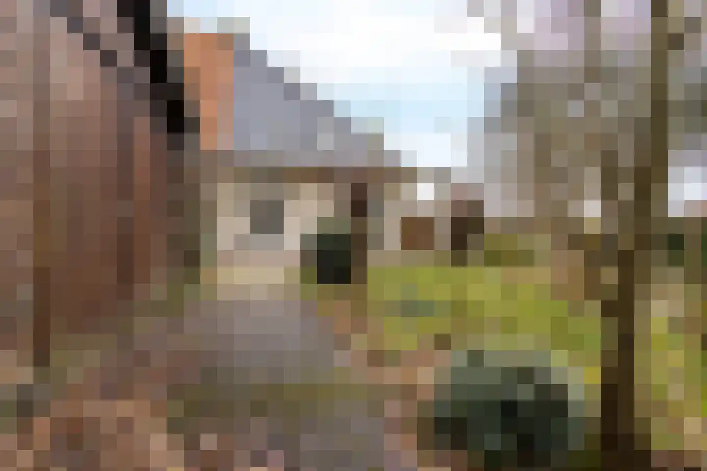 Osingahuzen 22 Heeg thumbnail 28