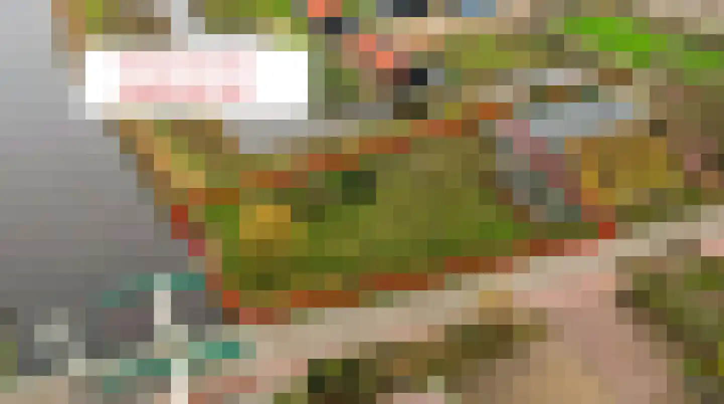Osingahuzen 22 Heeg thumbnail 6