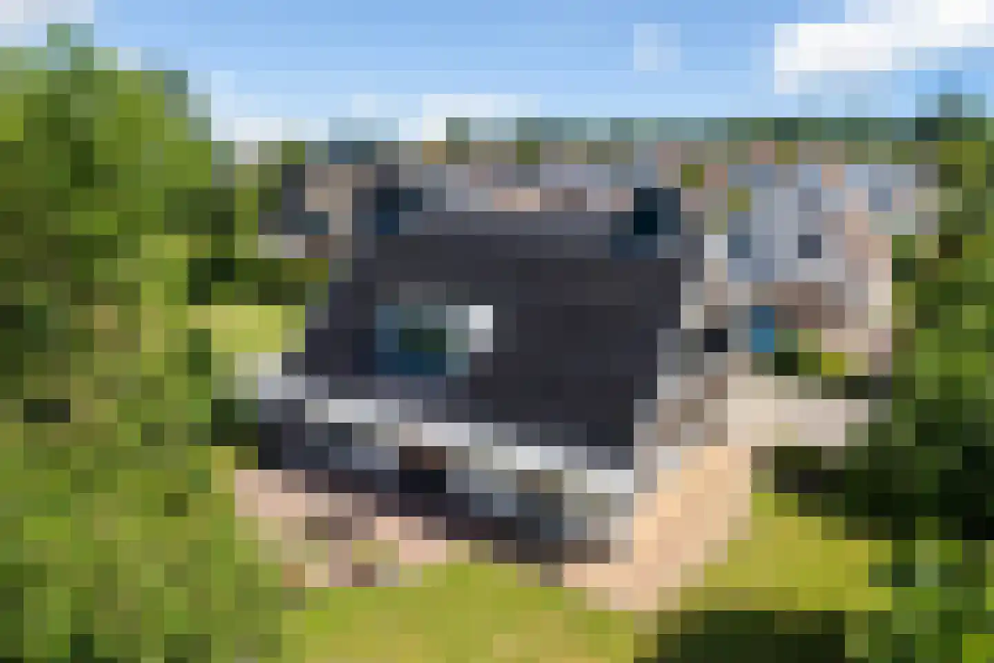 Osingasingel 10 Dronryp