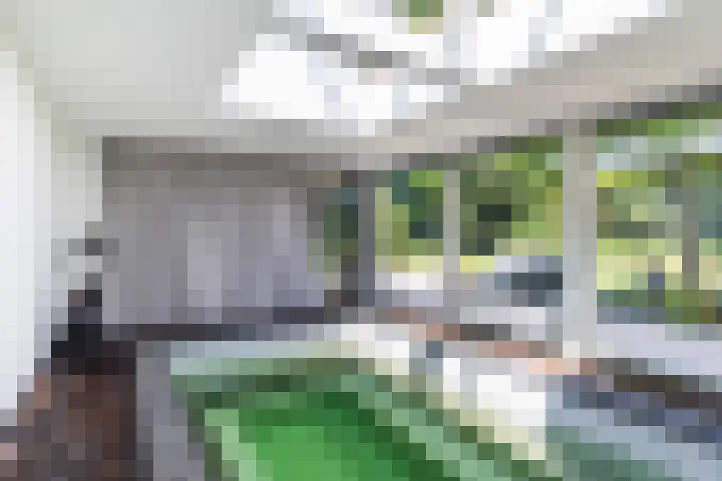 Osingasingel 10 Dronryp thumbnail 29