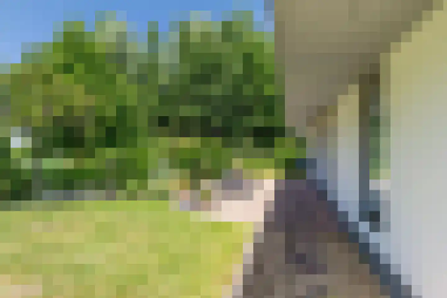 Osingasingel 10 Dronryp thumbnail 35