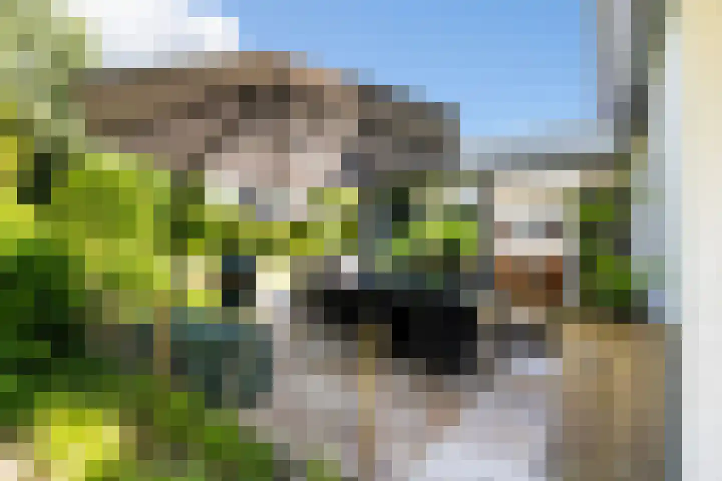 Osingasingel 10 Dronryp thumbnail 37
