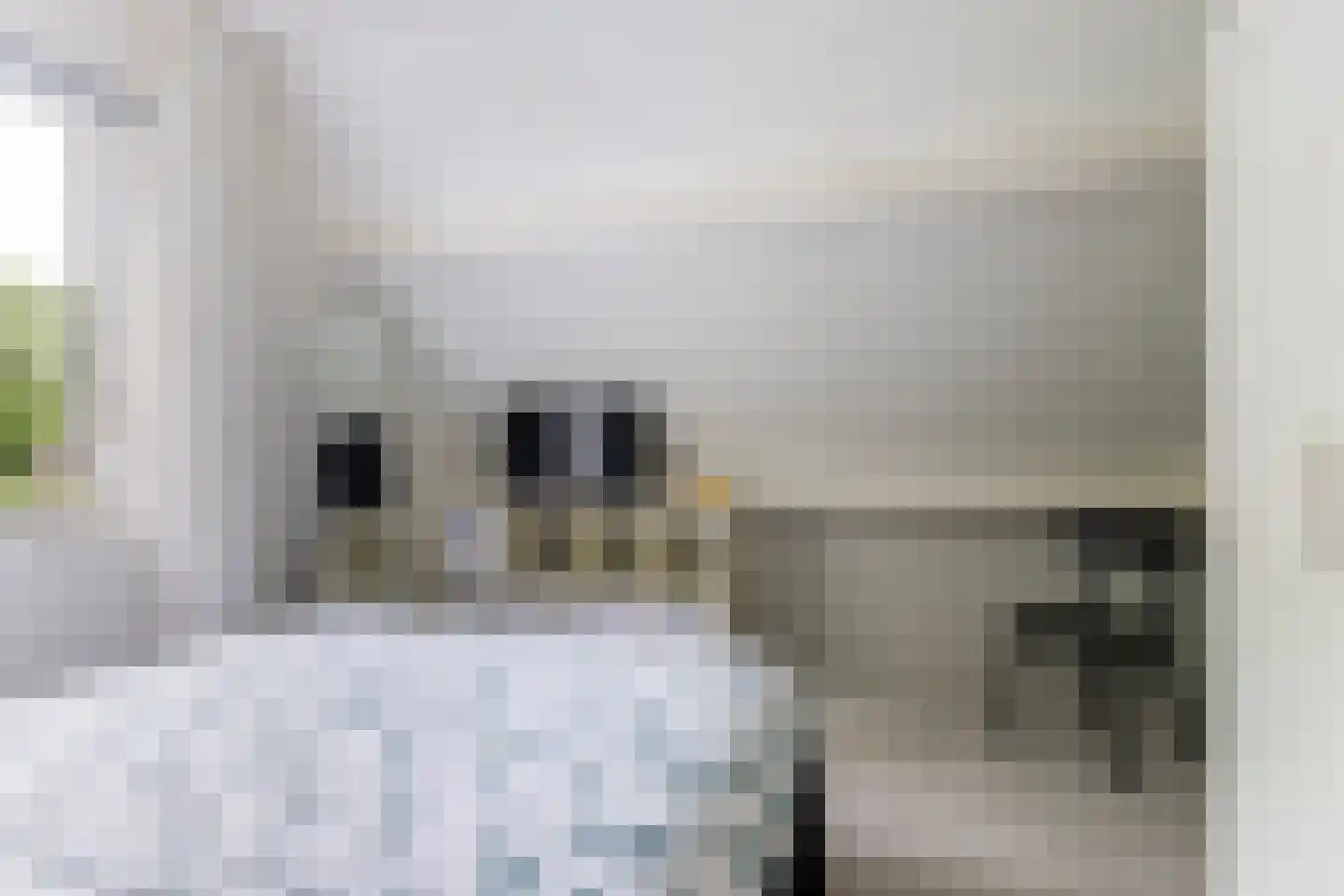 Osingasingel 10 Dronryp thumbnail 46