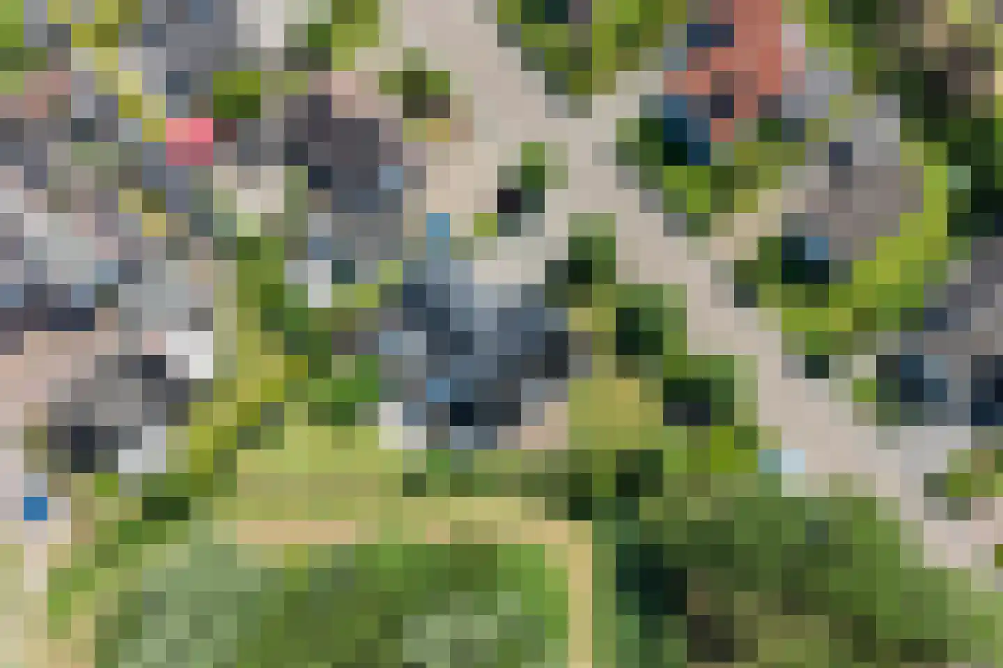 Osingasingel 10 Dronryp thumbnail 59