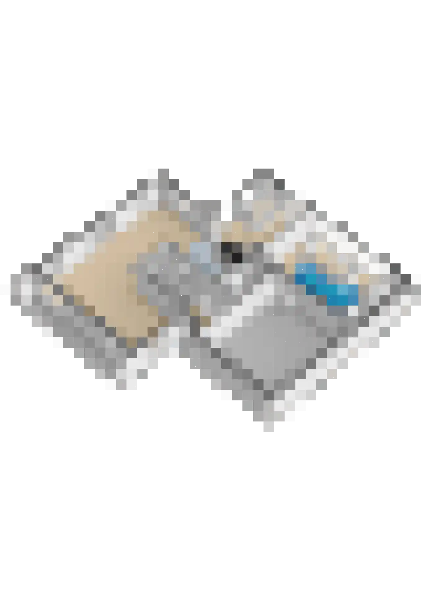 Osingasingel 10 Dronryp thumbnail 61