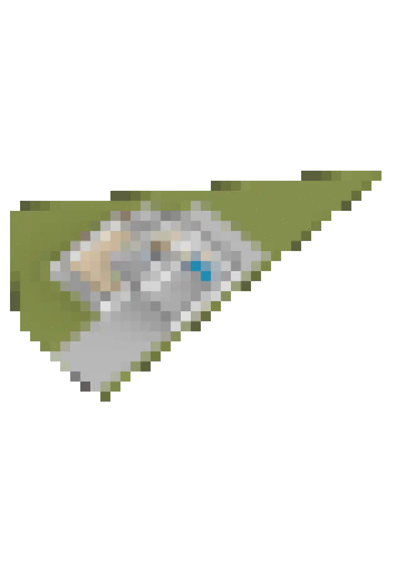 Osingasingel 10 Dronryp thumbnail 67