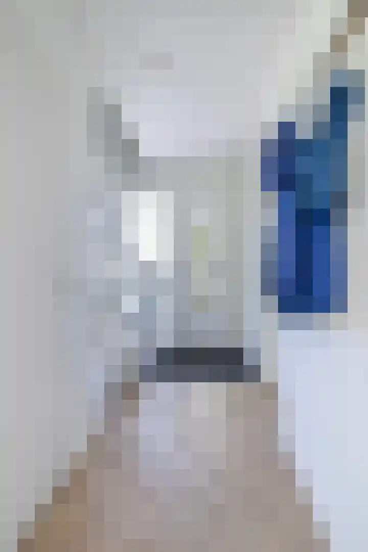 Osingasingel 15 Dronryp thumbnail 10