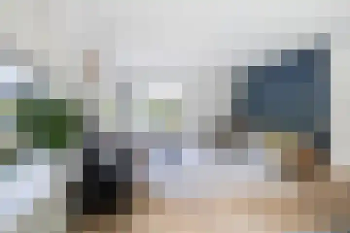 Osingasingel 15 Dronryp thumbnail 13