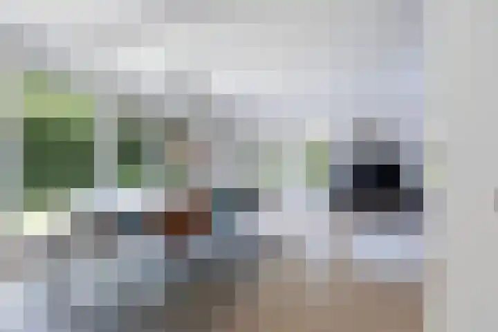 Osingasingel 15 Dronryp thumbnail 15