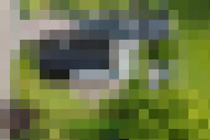 Osingasingel 15 Dronryp foto 2