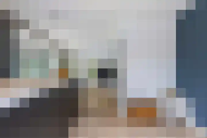 Osingasingel 15 Dronryp thumbnail 20