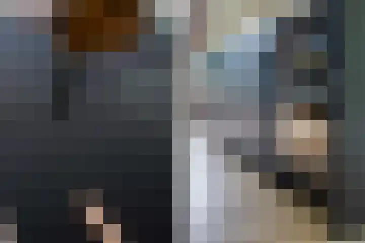 Osingasingel 15 Dronryp thumbnail 21