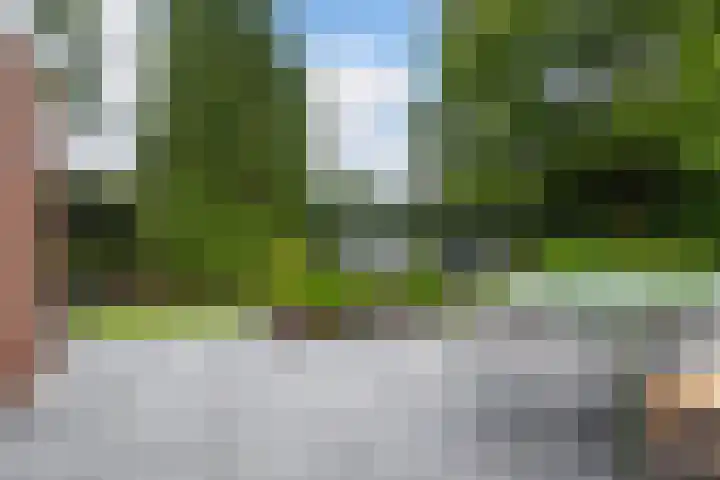 Osingasingel 15 Dronryp thumbnail 25