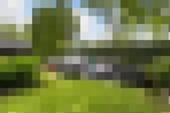 Osingasingel 15 Dronryp thumbnail 27