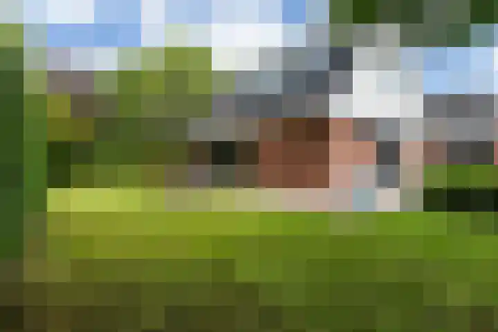 Osingasingel 15 Dronryp thumbnail 29