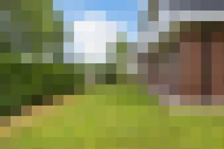 Osingasingel 15 Dronryp thumbnail 31