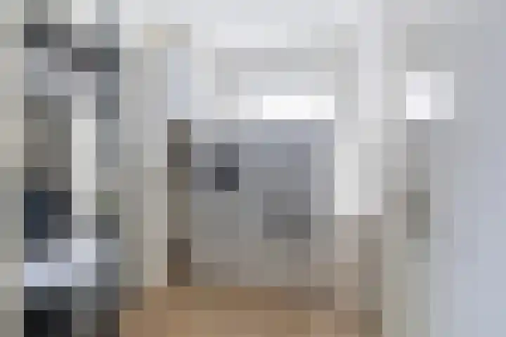 Osingasingel 15 Dronryp thumbnail 32