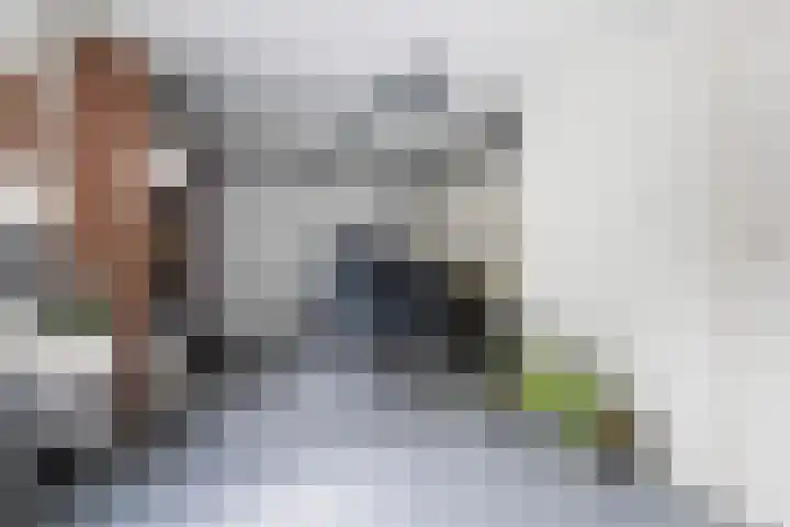 Osingasingel 15 Dronryp thumbnail 35