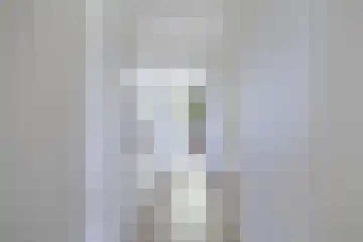 Osingasingel 15 Dronryp thumbnail 36