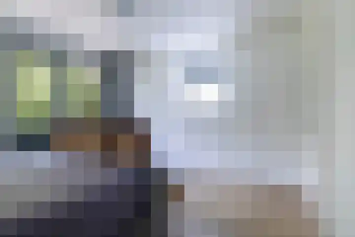 Osingasingel 15 Dronryp thumbnail 38