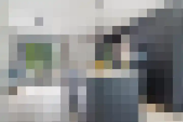 Osingasingel 15 Dronryp thumbnail 4
