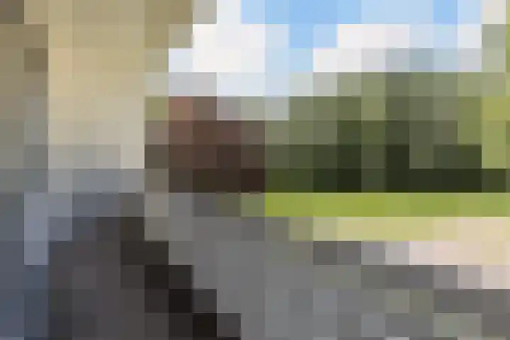 Osingasingel 15 Dronryp thumbnail 40