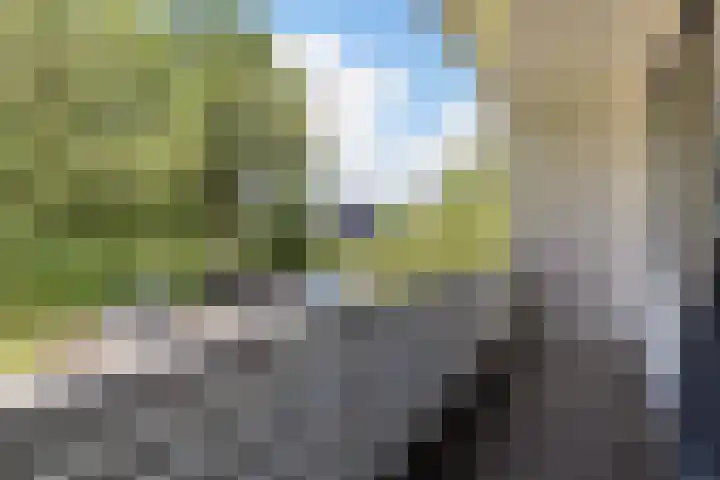 Osingasingel 15 Dronryp thumbnail 41