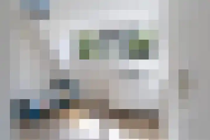 Osingasingel 15 Dronryp thumbnail 42